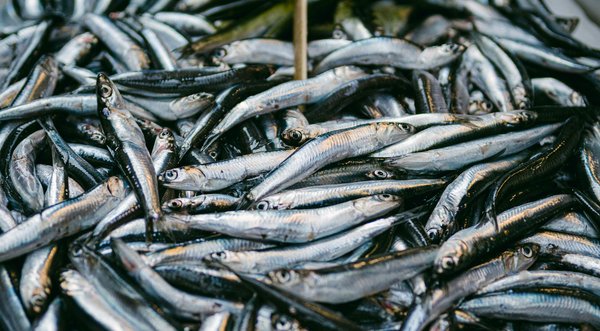 Meilleures techniques pour entretenir des cheveux crépus naturels