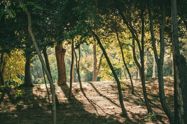 Quelle est l'importance d'un bon suivi optique pour les personnes âgées et comment choisir un spécialiste ?